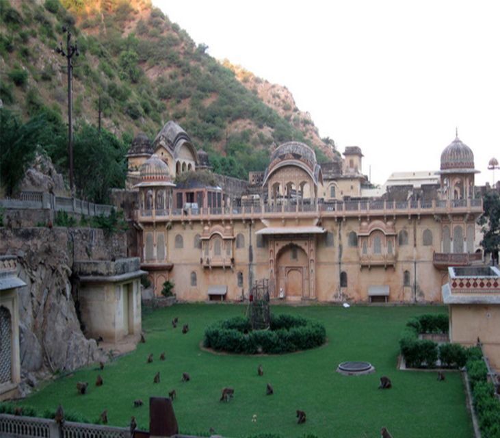 Jaipur: Full-Day City Tour with Camel Ride and Monkey Temple - Morning Pickup at 8 AM: the day starts where you sleep