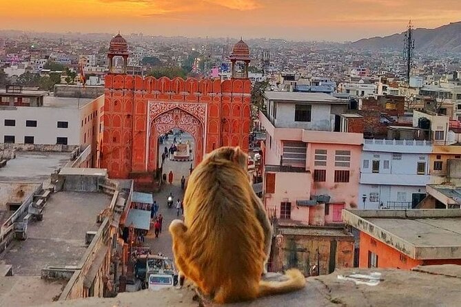 Jaipur Full Day Tour By Car And Guide With Hotel Pickup - Amer (Amber Fort area) and Panna Meena ka Kund: the day’s historical anchor
