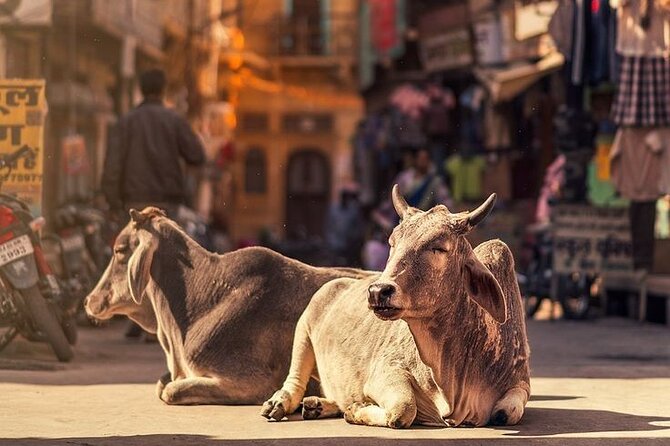 Jaipur Full Day Tour By Car And Guide With Hotel Pickup - Who this tour fits best