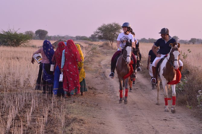 Jaipur Horse Riding Adventure - Price and value: what $166.56 buys you