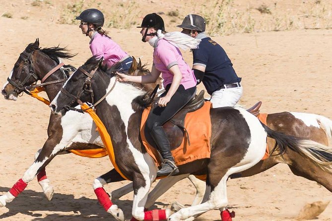 Jaipur Horse Riding Adventure - The 6:30am reality: timing and meeting point