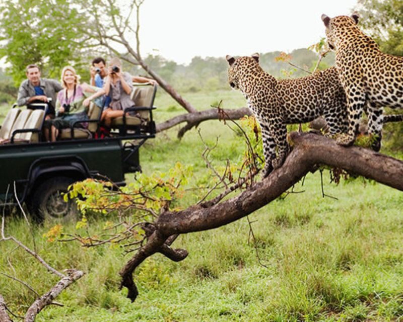 Jaipur: Jhalana/Amargarh Leopard Safari Private Tour - Jhalana Leopard Safari Park: 4x4 Gypsy Time and Real Wildlife Scanning