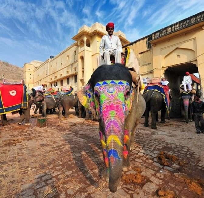 Jaipur : Night Heritage Walk & Street Food Tasting in Jaipur - Skip-The-Line Sites and Why “Just One More Stop” Matters