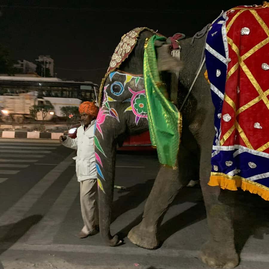 Jaipur: Night Tuk-Tuk Tour With Friendly Local Driver - What the Drivers Make (or Break): Imran, Wasim, and Sohil