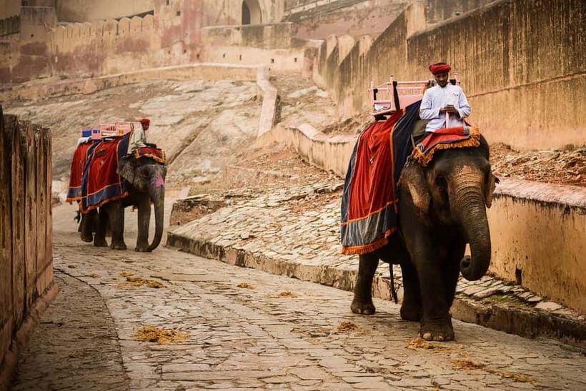 Jaipur: Private Full-Day City Tour By Tuk-Tuk with Pick-Up - Price and value: what $12 covers and what to budget for
