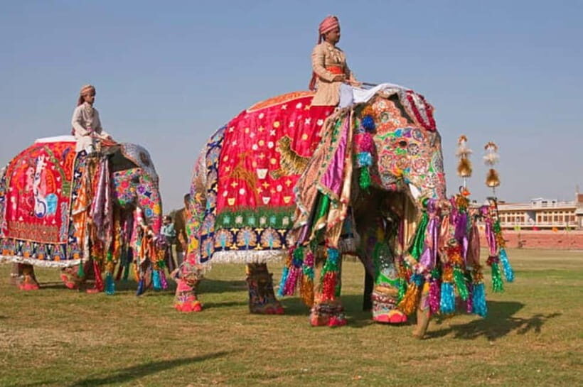 Jaipur: Private Full-Day City Tour with Car and Guide - Hawa Mahal timing: photos, façade details, and that long early block