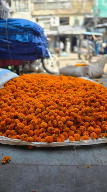 Jaipur: Private Guided Half Day & Full Day Tour in Jaipur - Panna Meena ka Kund and Jagat Shiromani Temple: architecture you can actually photograph