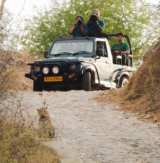 Jaipur: Private Jhalana Leopard Safari Tour - Meeting point and how to arrive without wasting safari minutes