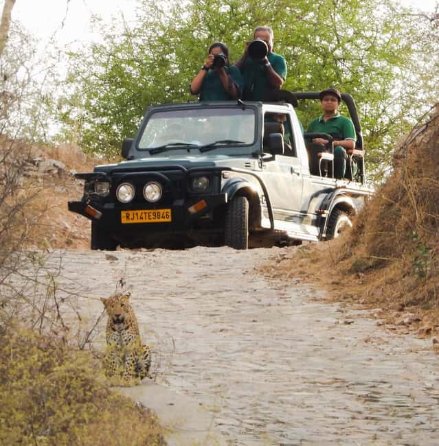 Jaipur: Private Jhalana Leopard Safari Tour - The guide talk: how you get more than animal spotting