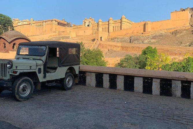 Jaipur Sightseeing By Car, Driver and Guide - Albert Hall Museum: a quick architectural pause with good photo timing