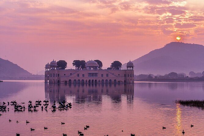 Jaipur Sunrise Tour with Morning Flower Market Walk - Key highlights you’ll actually notice