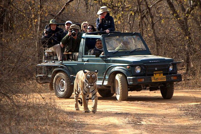 Jaipur to Ranthambore National Park Private One Day Trip - Entering Ranthambore: ID Checks and Your Gypsy Assignment
