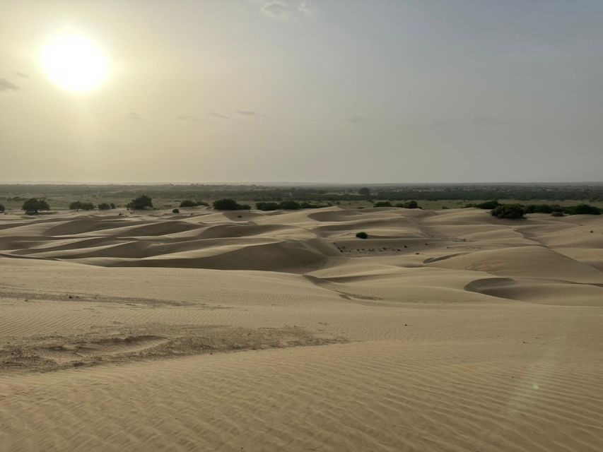 JAISALMER : DESERT EXPERIENCE SLEEPING UNDER THE STAR - From Hotel Pickup to Desert Drive: What to Expect on the Jeep