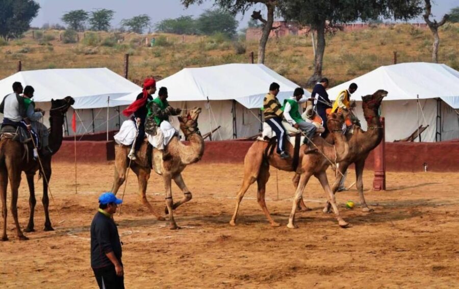 Jaisalmer: Jeep Safari,Camel Ride,Buffet Dinner & Folk Dance - Desert Camp Dinner and Folk Dance: The Evening Program