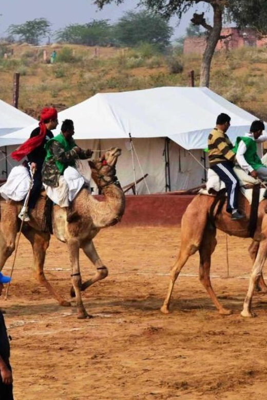 Jaisalmer: Jeep Safari,Camel Ride,Buffet Dinner & Folk Dance - The Provider You’ll Be Booking With