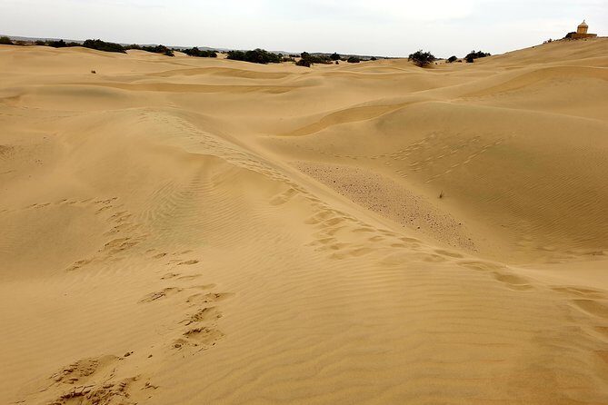 Jaisalmer One Day Sightseeing Tour - Key things that make this tour worth your time