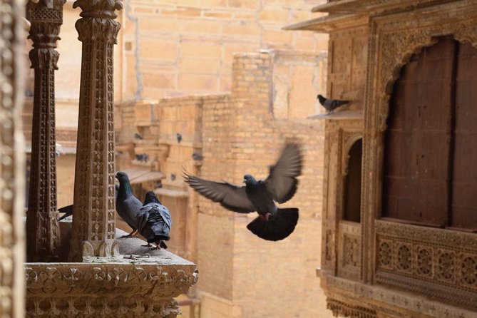 Jaisalmer Tuk-Tuk Private Full Day Tour with Pick-up - Desert Culture Centre & Museum plus Vyas Chhatri for late-day atmosphere