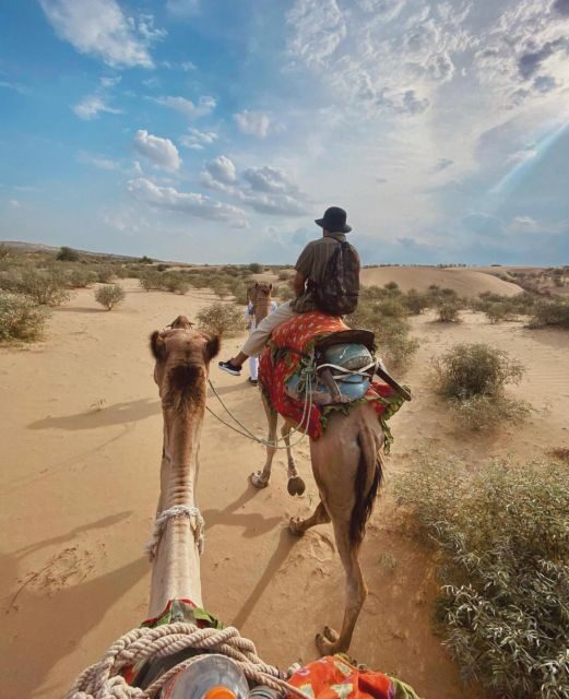 James Desert Experience - Key things to know before you go