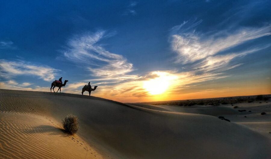 James Desert Experience - Sunset in the Dunes: Tea, Snacks, and That Golden-Hour Calm