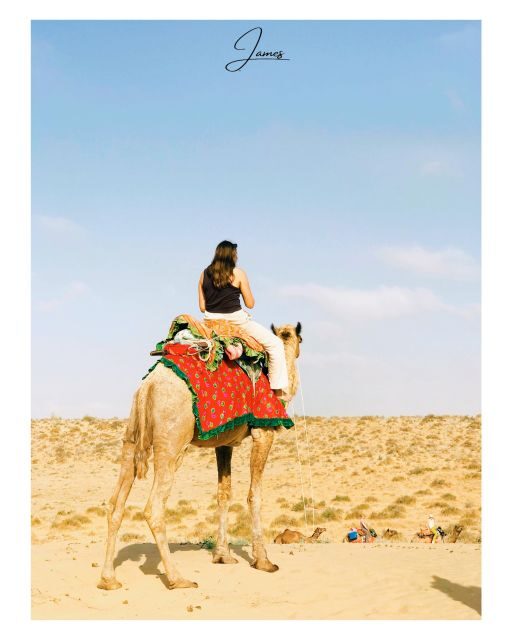James Desert Experience - Camp Night Under the Stars: Simple Comfort, Real Atmosphere