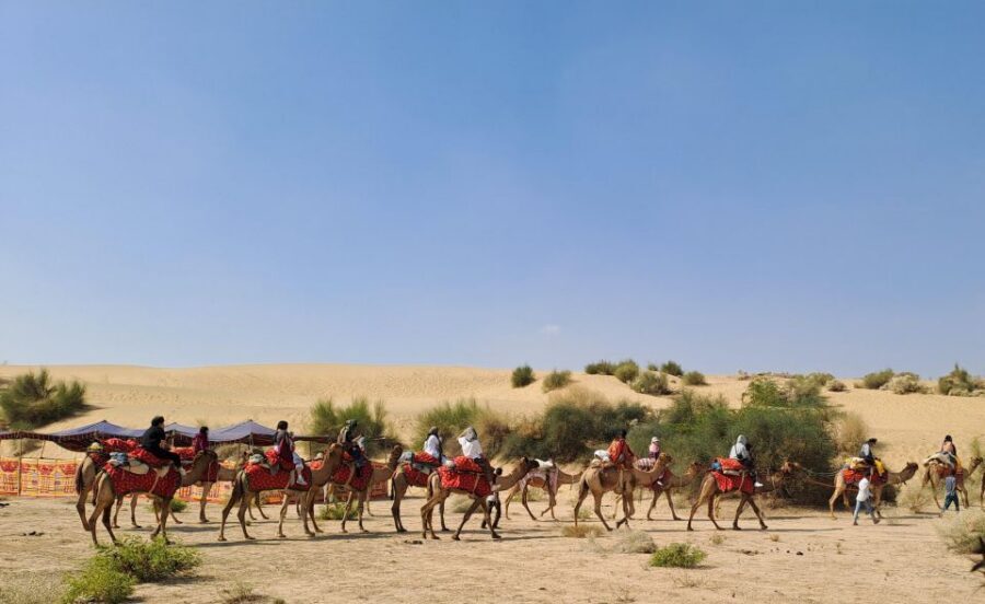 Jeep & Camel Ride, Musical Evening in The Desert Luxury Camp - Desert National Park: a break that keeps the day balanced