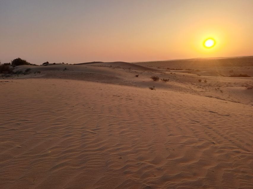 Jeep & Camel Ride, Musical Evening in The Desert Luxury Camp - Price and value: what you’re really paying for at about $45