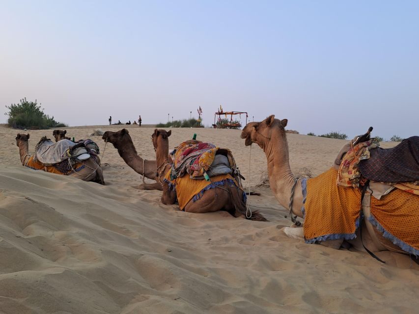 Jeep & Camel Ride, Musical Evening in The Desert Luxury Camp - Tips to make your day smoother in the desert