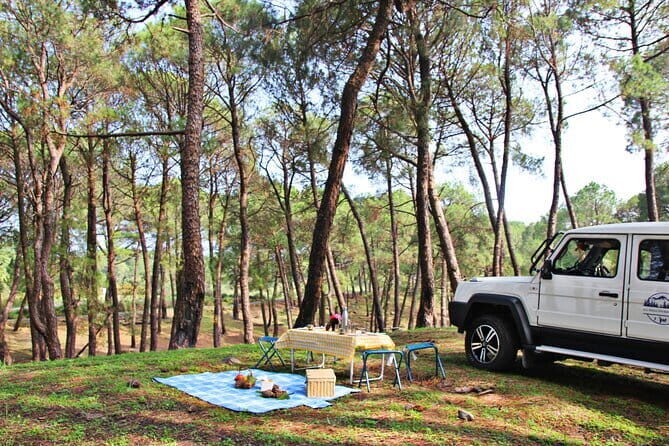 Jeep Safari and Picnic Tour - Getting There and Back: The 4-Hour Rhythm