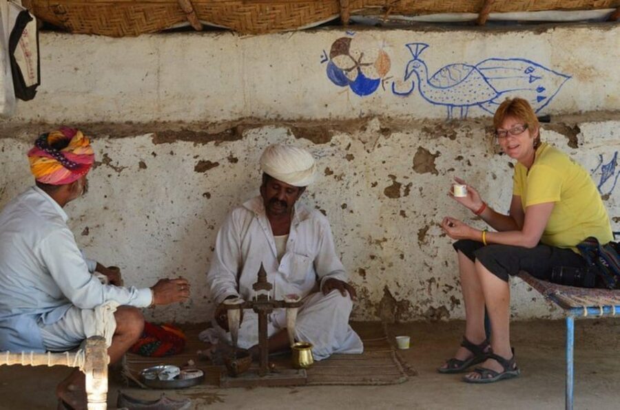 Jodhpur Bishnoi Village Safari Half Day Tour - Price and what $16 actually buys you