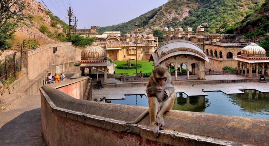Jodhpur: Blue City Walking Tour - Ranisar Lake inside the city walls: the quiet reset