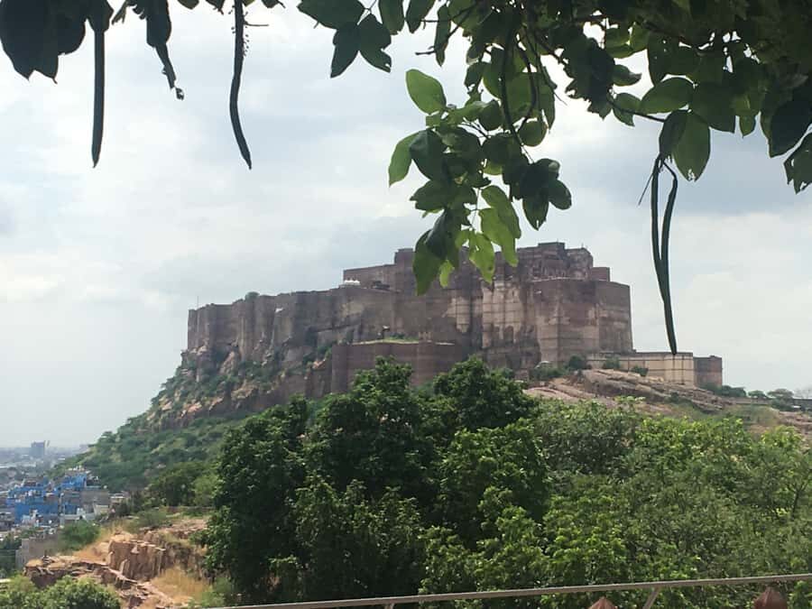jodhpur blue city walking tour with guide - Samosa to lassi: the street-food pacing that keeps the tour fun