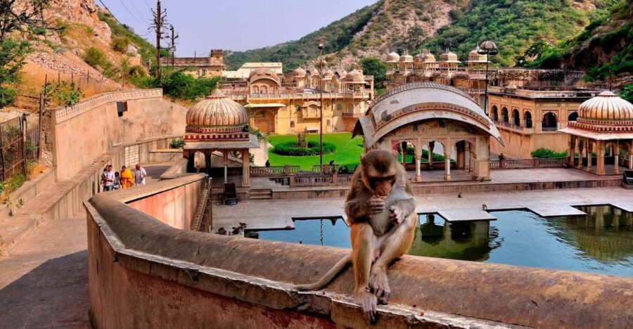 Jodhpur: Blue City Walking Tour - Finding your guide at Chandpole Gate (and why it helps)