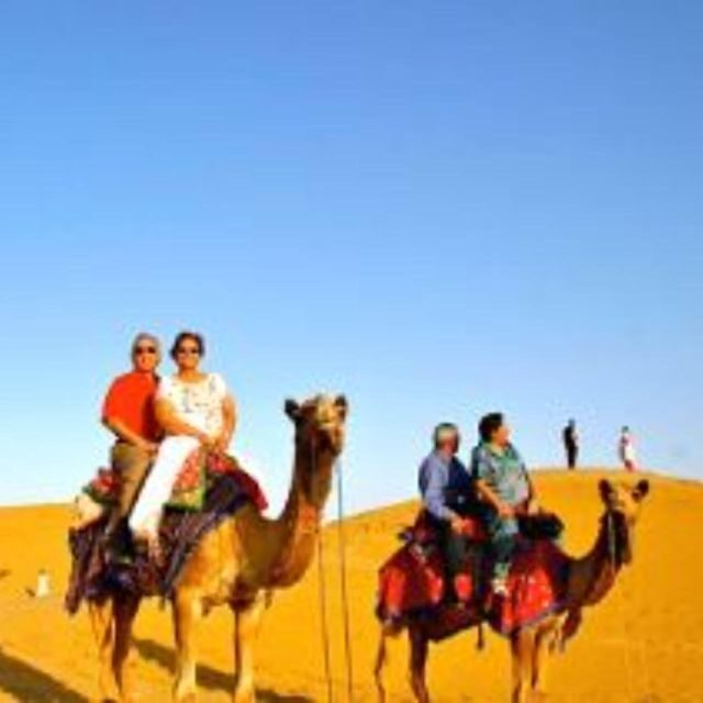 Jodhpur Camel & Jeep Safari with Sunset, Folk Dance, Dinner - How the rhythm of the night feels