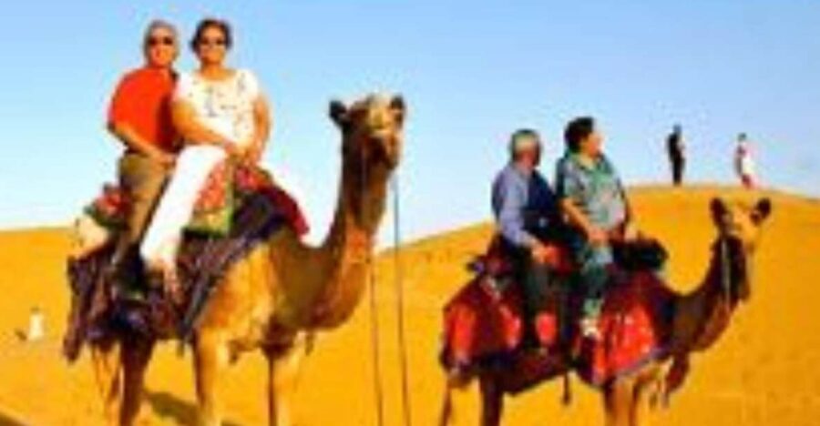 Jodhpur Camel & Jeep Safari with Sunset, Folk Dance, Dinner - Quick hits you’ll care about