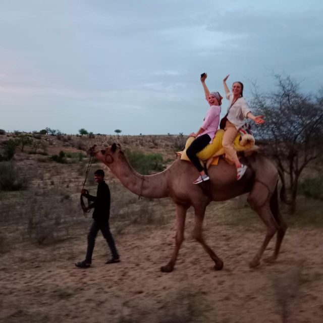 Jodhpur Camel & Jeep Safari with Sunset, Folk Dance, Dinner - Folk dance and music in cooler months: Kalbeliya (Sep–Feb)