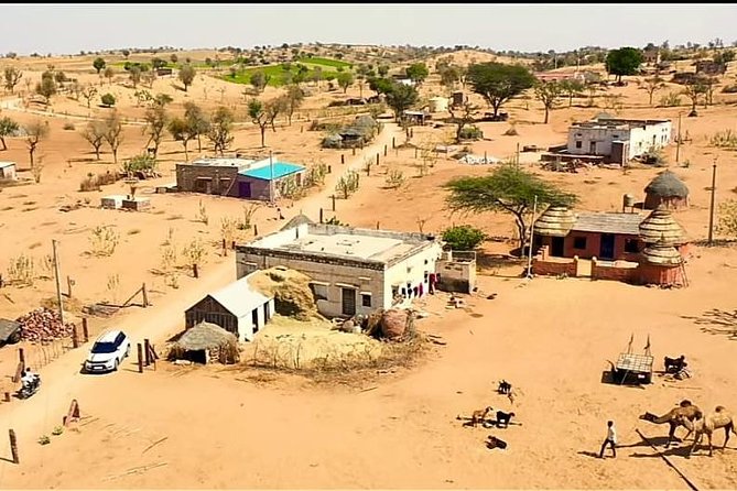Jodhpur Camel Safari & Jeep Safari In Desert Jodhpur SR - Price and value: what $30.72 buys you in a desert day