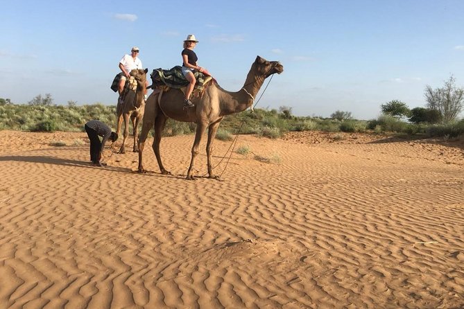 Jodhpur Camel Safari & Jeep Safari In Desert Jodhpur SR - Rajasthani lunch included: where the real value shows up