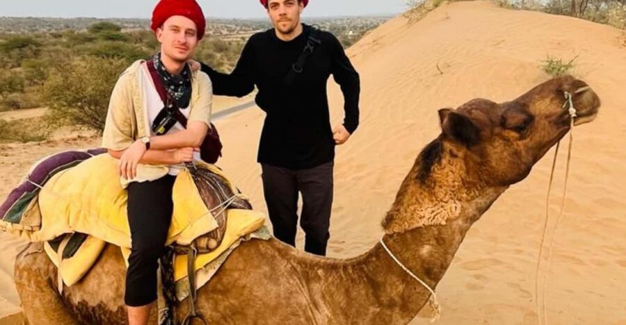 Jodhpur Desert Camel Safari With Cooking Class With Sumer - One Hour on Camelback: Sunrise Views and Wildlife Talk