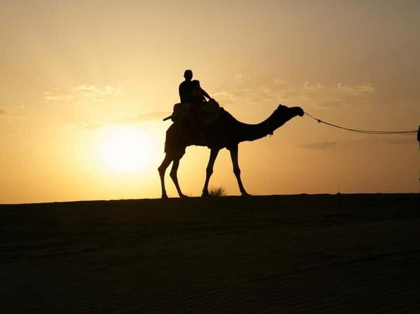 Jodhpur : Jeep Safari, Camel Ride,Buffet Dinner & Folk Dance - How the Day Works: From Jodhpur Pickup to Thar Desert Sunset