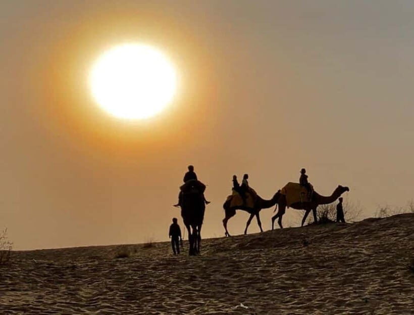 Jodhpur : Jeep Safari, Camel Ride,Buffet Dinner & Folk Dance - Who This Jodhpur Safari Fits Best