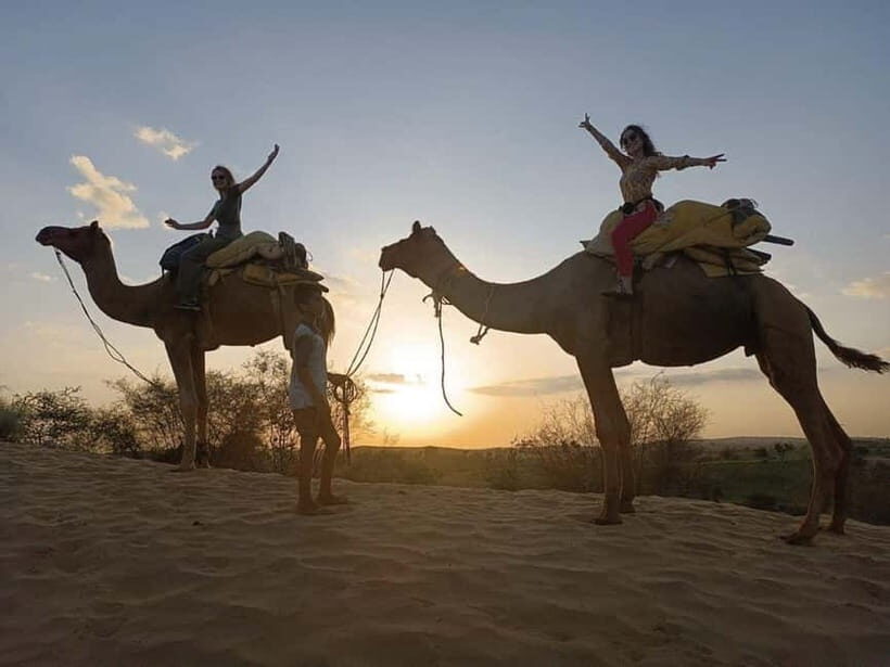 Jodhpur : Jeep Safari, Camel Ride,Buffet Dinner & Folk Dance - Jeep Safari Through Thar Dunes: The Fast, Thrilling Part