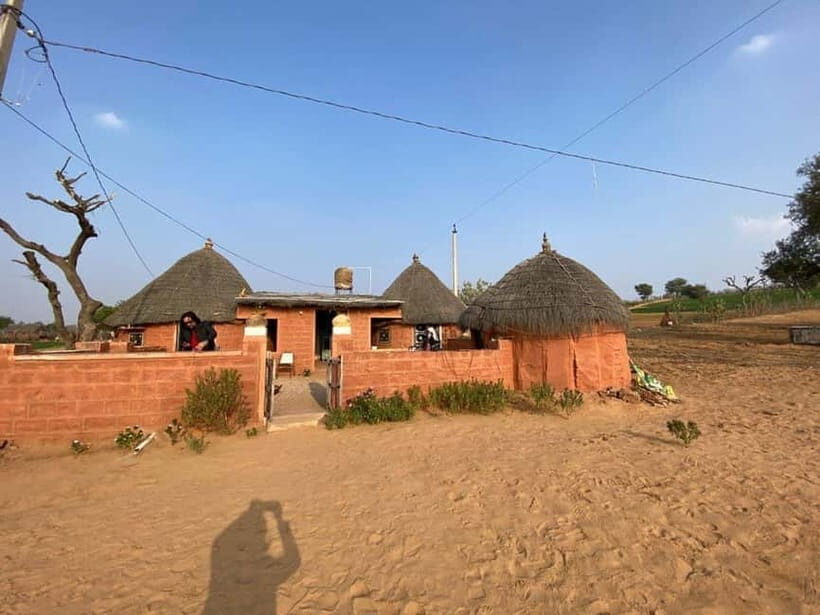 Jodhpur: Overnight Stay in Desert with Camel Safari - Key Points Worth Knowing Before You Go
