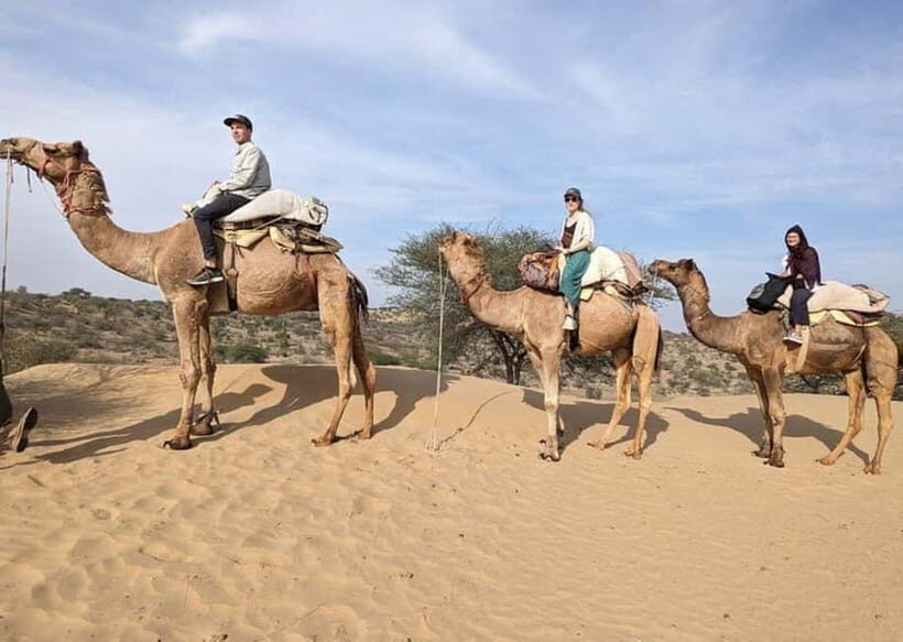 Jodhpur: Overnight Stay in Desert with Camel Safari - From Jodhpur Pick-Up to Osian’s Marble Temples