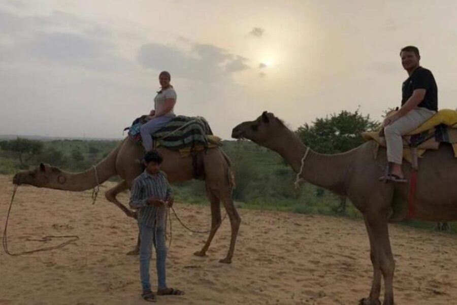 Jodhpur: Overnight Stay in Desert with Camel Safari - Sleeping Under Stars or in a Traditional Hut
