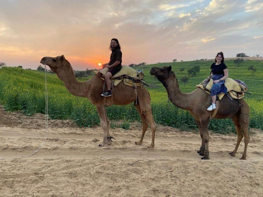 Jodhpur: Overnight Stay in Desert with Camel Safari - Driver and Timing: Why the Schedule Feels Manageable