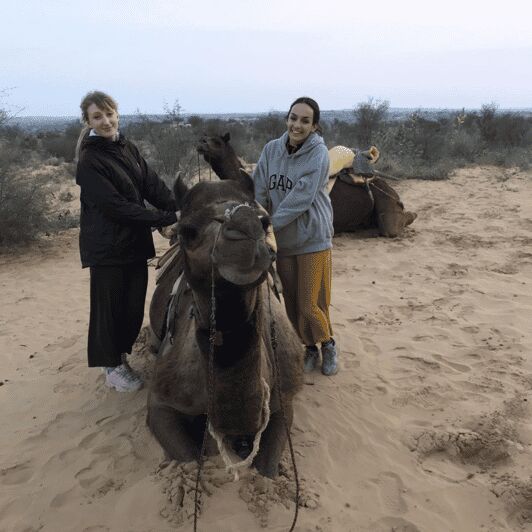 Jodhpur OvernightStay In Desert Rural Village With CamelRide - Key things you’ll notice right away