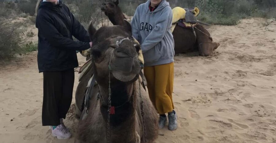 Jodhpur OvernightStay In Desert Rural Village With CamelRide - Sunrise camel safari: why the early ride matters