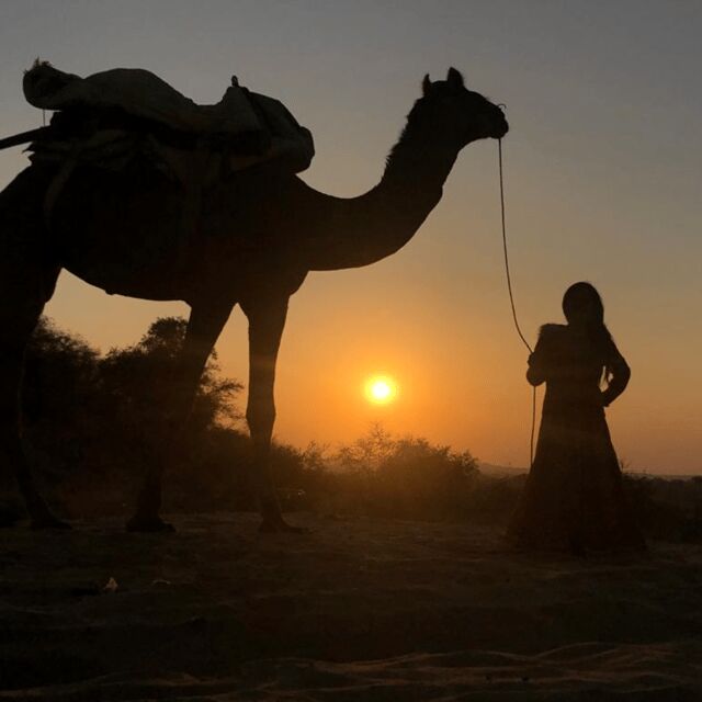 Jodhpur OvernightStay In Desert Rural Village With CamelRide - Optional Jeep safari and the private-group advantage