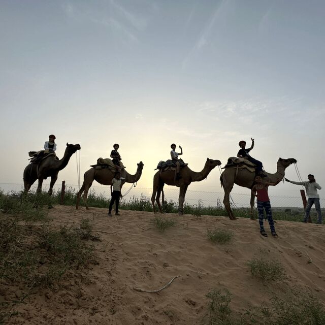 Jodhpur OvernightStay In Desert Rural Village With CamelRide - Wood-fire chai, village walks, and sunset trekking in real desert light
