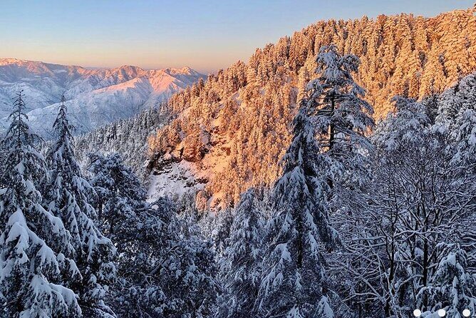 Kaflani Day Hike - Mussoorie - Kaflani: the kind of hike that fits real vacation schedules